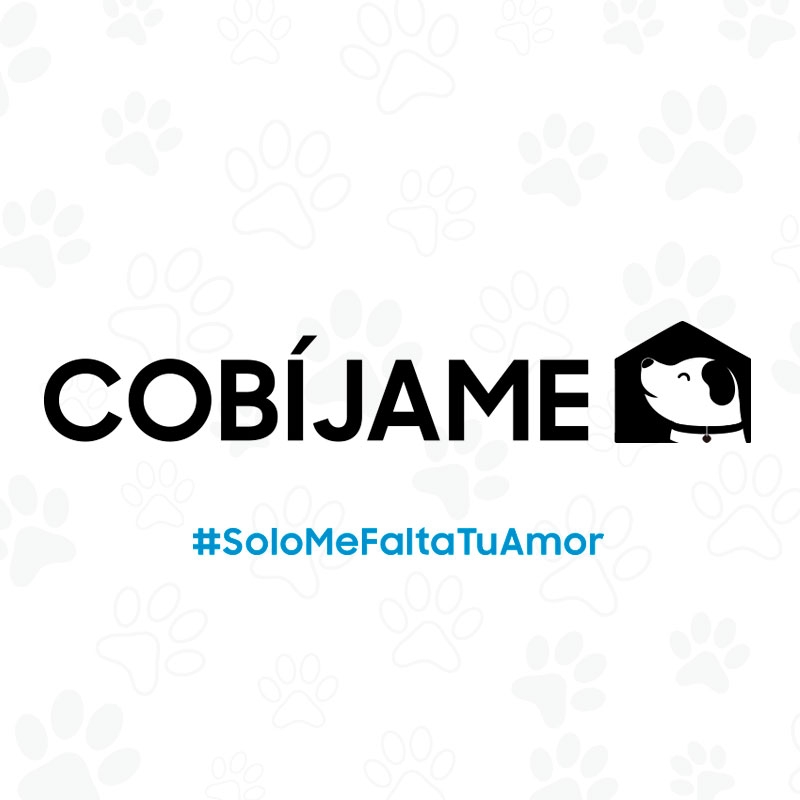 campaña cobijame next level hocicos del mundo bolivia