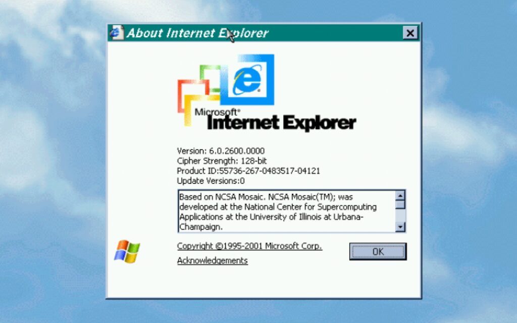 internet explorer